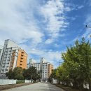 더 푸른 이미지