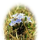 아름다운날 이미지