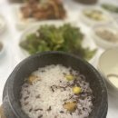 🍚 완도 돌솥밥 맛집 찾는다면? 금성가든 후기