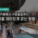 수변카페에서 가로숲길까지…서울걷기 재밌어진다 이미지