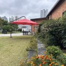 백합몬테소리어린이집 이미지