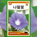 씨드