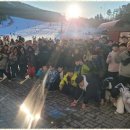 무림체육관 이미지