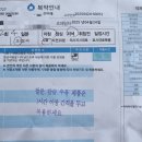 타이거브루스