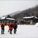 백연사
