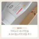 즐거운약사 | 약사 엄마pick - 2년 넘게 사용한 아기칫솔, 닥터노아 대나무칫솔 &amp; 유아불소치약 리얼 후기