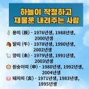 석삼오리 | 온 세상이 너를 닮은 꽃빛으로 반짝일 때