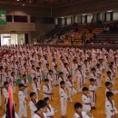 둥지태권도체육관 이미지