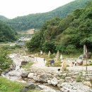 김삿갓면-10 Daum카페