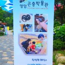 한옥펜션문 이미지