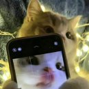 머구식당 | 너의 밤이 어떤 의미를 갖는지도 내게 말해줘