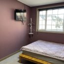 동이애견 이미지