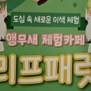 리프패럿광주 - 광산구 풍영로 43 | 리프패럿광주