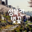 일레브커피