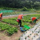 대한노인회 사천시지회 이미지