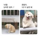 없음 네이버블로그