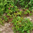 두곡농장 이미지