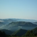 더달보드레카페