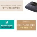 가성비좋은 탄소매트 추천 best 5
