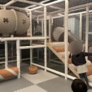 쌈마이대패중촌점 이미지