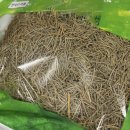 옹기 한약국 이미지