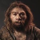 2019-주076 | 076. 호모 사피엔스 나이는 35만년