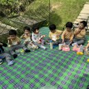 안나농원 이미지