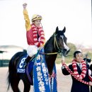 통산1목장 이미지