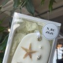 바다 품은 석고 방향제 이미지