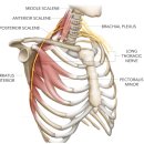 엑서사이언스짐 이미지