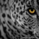 올드스쿨짐 이미지