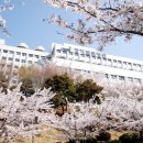 성가롤로병원 이미지