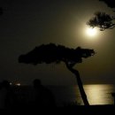 희미한옛사랑의그림자 이미지