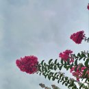 어울림 계절 맛집 이미지