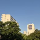 [강서구 임장 2탄] 등촌동·가양동 민영아파트 비교 (부영, 동성, 대림, 강서한강자이 시세 및 분석)