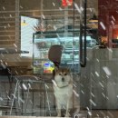 신보미용실 이미지