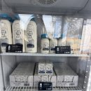 카페수련 | 제주 성이시돌목장 아이스크림 카라멜 등 카페 후기