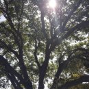 금계콩사랑 협동조합 이미지