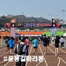 예산-21 | [제21회 예산 윤봉길 전국마라톤 대회] 마라톤 초보의 10km 완주 후기