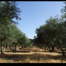 나들이농장 이미지