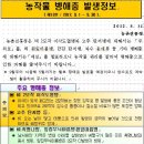 용안농약사 Daum카페