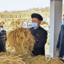 어룡농장 이미지