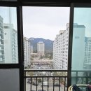 건영아파트 | 의정부 방충망 호원동 건영아파트 미세망 교체 후기