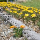 진해중앙초등학교 이미지
