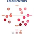 11545-05-14-19 | 컬러그램 탕후루 탱글 틴트 02 햇꿀자몽 웜톤 봄웜 라이트 립 추천 발색샷 후기