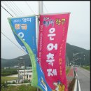 2011영덕황금은어축제 이미지