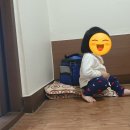 우수영민물장어 이미지
