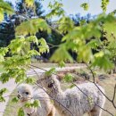 사랑목장2 이미지