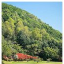 근영농산(주)양주컨트리클럽 이미지