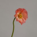 공간의움직임 이미지